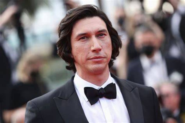 Adam Driver craves structure and stability