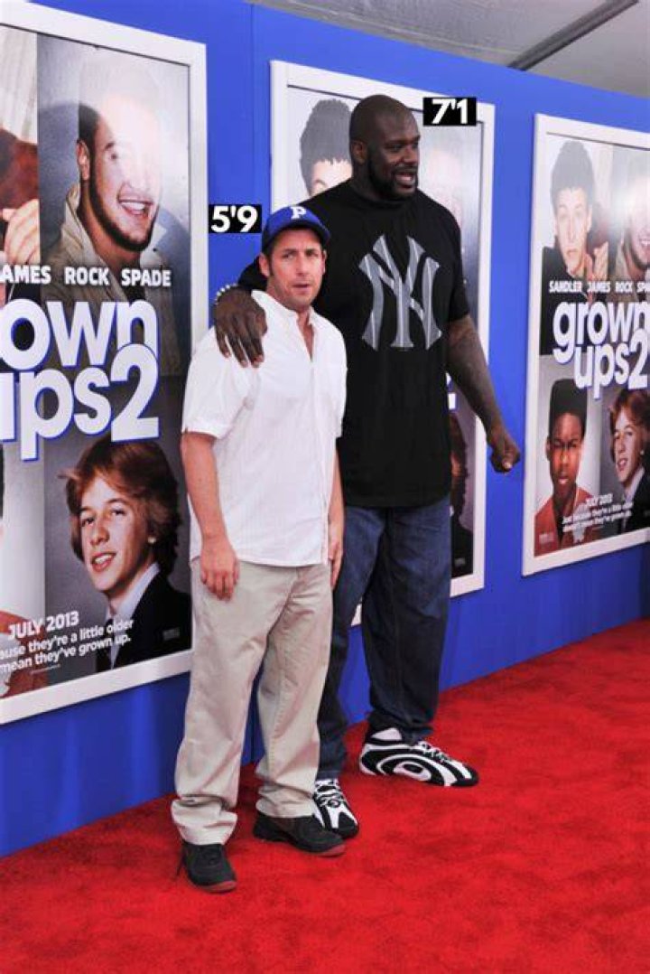 Adam Sandler Height How Tall is Adam Sandler?
