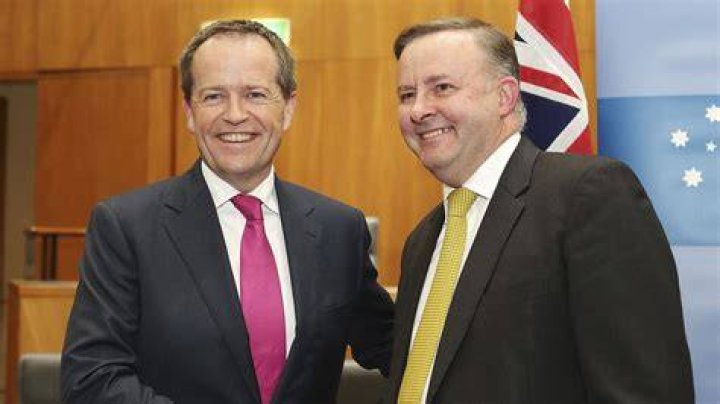 Anthony Albanese in 2013
