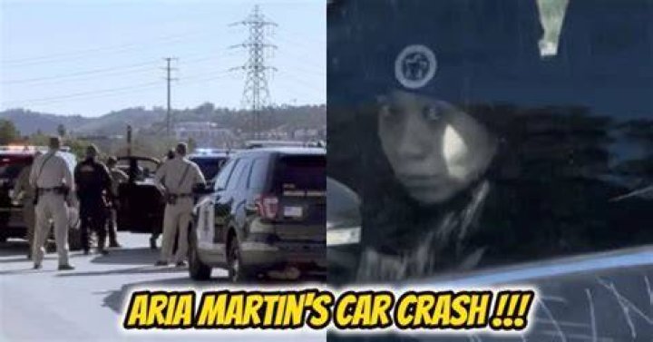 Aria Martin Car Accident Is Aria Martin Arrested?