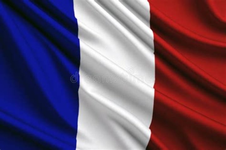 Audiences wave the French flag, advertising their country of departure, while others waved flags from Croatia, Portugal, Spain, France and Ukraine