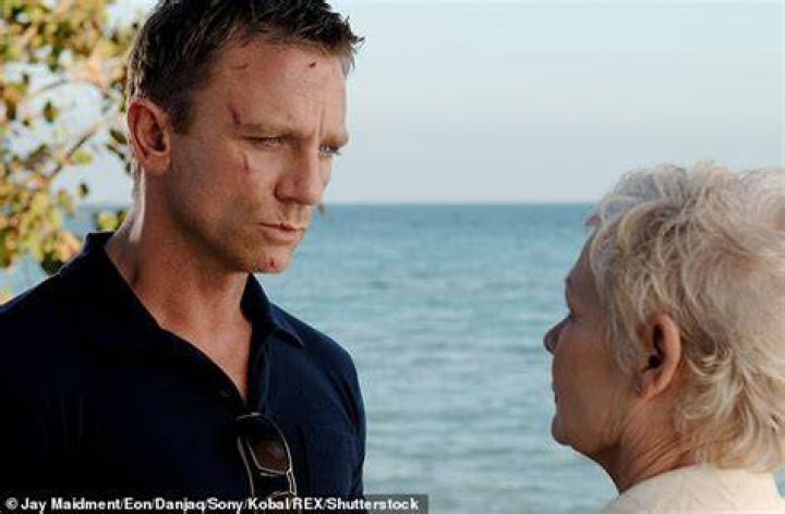 Bowing out: Judi played the character of M, who was Head of the Secret Service in Ian Fleming's popular novels, until she was killed off in Skyfall in 2012 (pictured with Daniel)