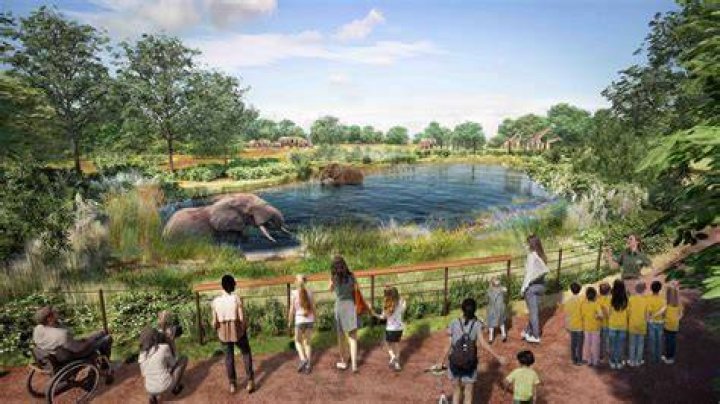 Brookfield Zoo Archives - 247 News Around The World