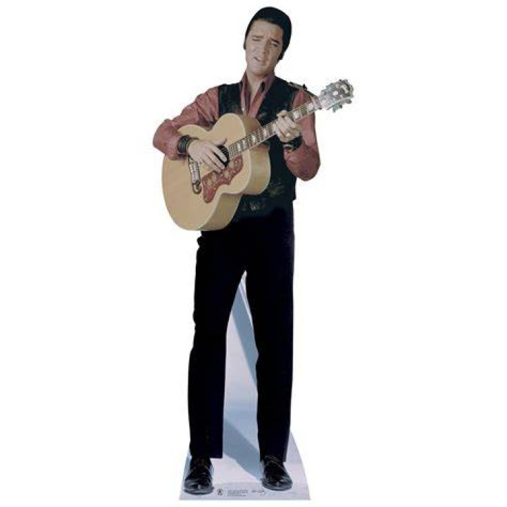 Cardboard Cutout Archives - 247 News Around The World