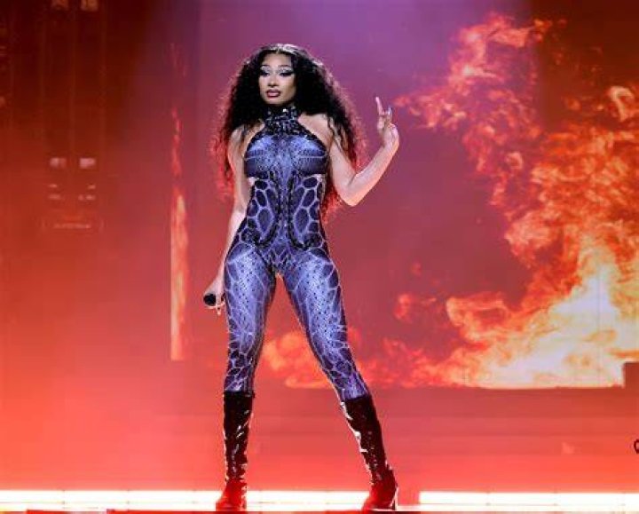 Cardi B & Megan Thee Stallion's Grammys Performance Is Getting FCC Complaints