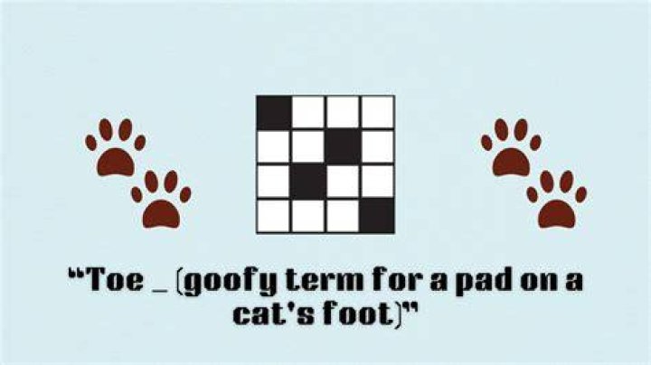 Copy,' to a cat Crossword Clue NYT