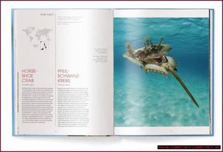 Discovering The World Of Www.masa49.com