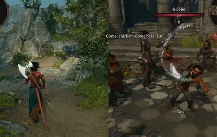 Does Baldur's Gate 3 have Split-screen Local co-op? Know Here!