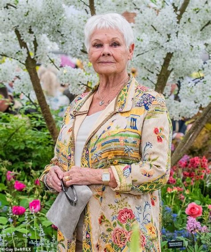Downbeat: It comes after Dame Judi Dench made her opinions of the latest Bond movies known when she agreed that Daniel Craig's films were 'gloomy' in comparison to earlier plots
