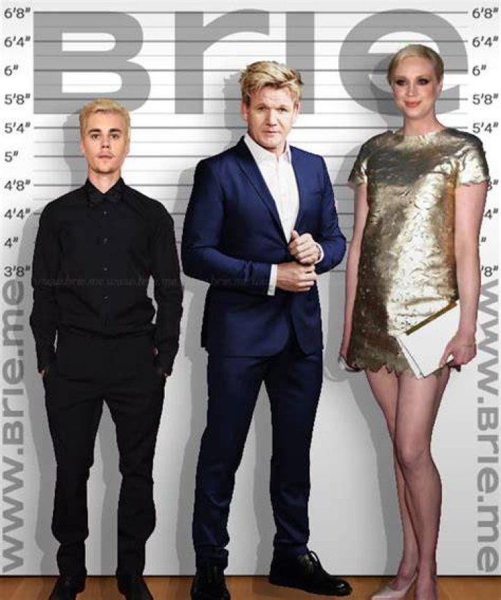 Gordon Ramsay Height How Tall is The British Chef? Hood MWR