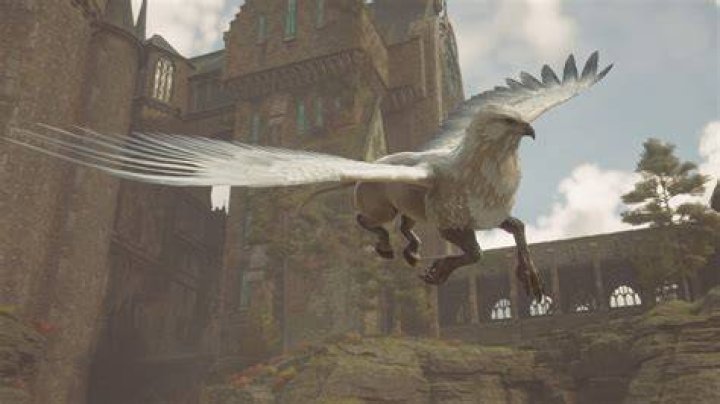 Hogwarts Legacy Mount List, How To Get Mount In Hogwarts Legacy?