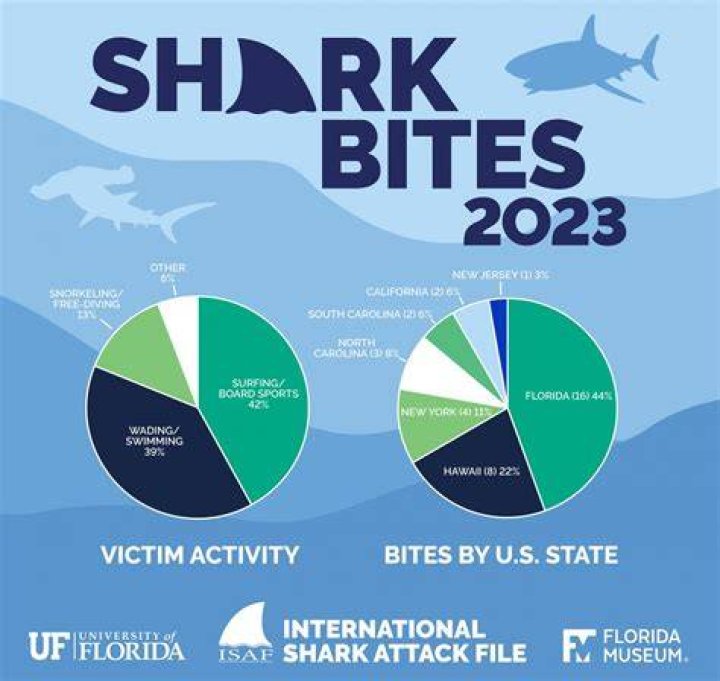 How Many Shark Attacks In Hilton Head 2023 South Carolina?