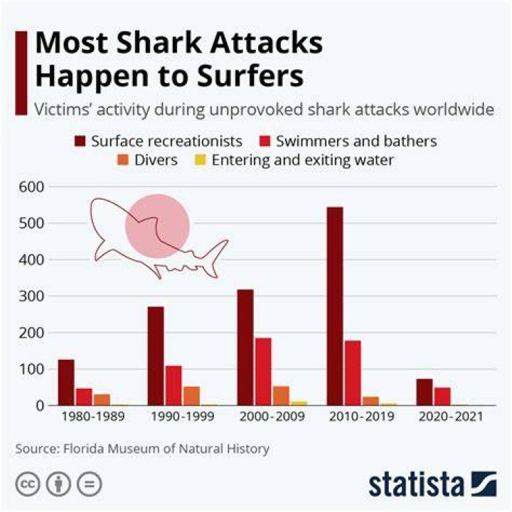 How Many Shark Attacks In Hilton Head 2023 South Carolina