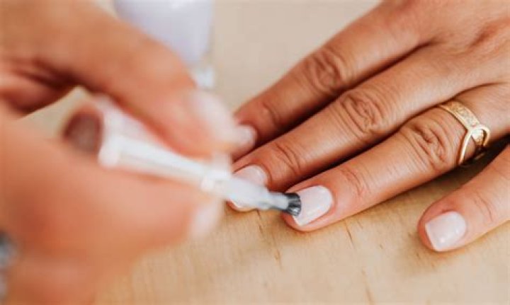 How to Obtain Nails in the Game Enshrouded? How to Utilize Nails in Enshrouded?
