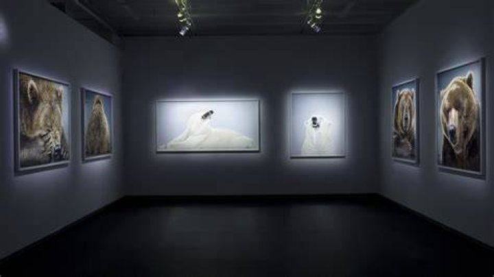 Jill Greenberg
