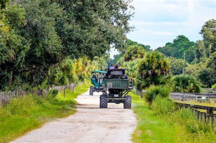 Law enforcement drive swamp buggies