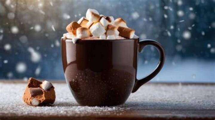 Mug of hot chocolate topped with whipped cream
