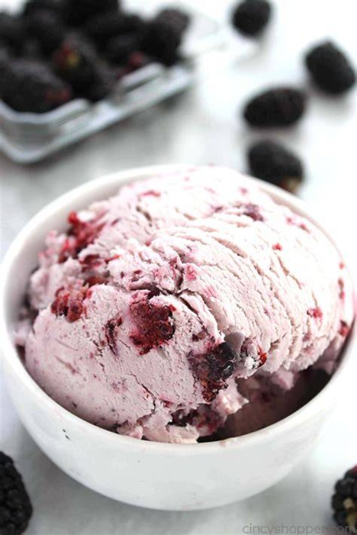 No Churn Blackberry Ice Cream