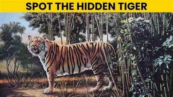 Optical Illusion: Only a Genius can find the Hidden Tiger in this Image