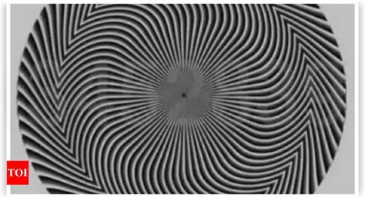 Optical Illusion: Only a Genius can find the Hidden Tiger in this Image Optical Illusion: Only a Genius can find the Hidden Tiger in this Image