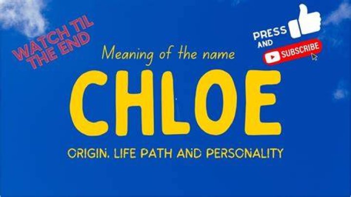 Prepared: Chloe, real name Chloe Heald, stunned with her fake tanned, heavily made-up, scantily-clad appearance on the show as during her first audition, Louis slated her for being 'totally unprepared'