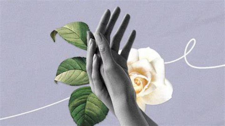 Quirofilia: What To Know About a Hand Fetish