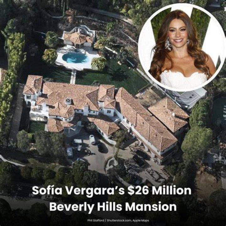 Sofia Vergara even purchased a painting