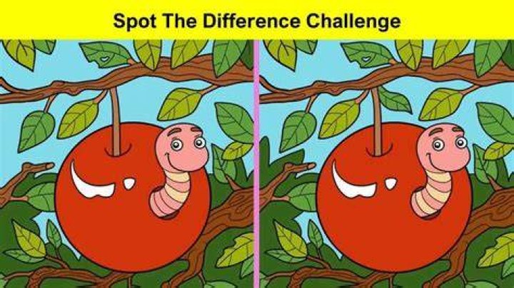 Spot the Difference Game: How Fast Can You Locate 10 Differences In This Picture Puzzle? Spot the Difference Game: How Fast Can You Locate 10 Differences In This Picture Puzzle?