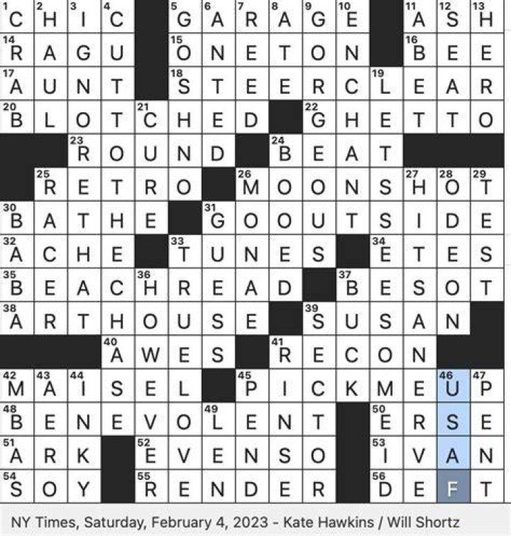 Summer novel, typically Crossword Clue NYT