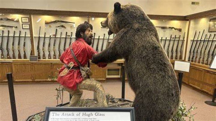The Tragic 1833 Death Of Hugh Glass Explained