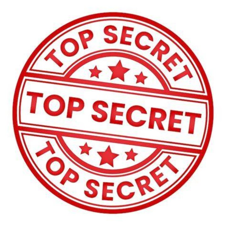 Top secret: Melanie - who voices Bluey's mum, Chilli - explained that the producers decided not to identify the voices behind Bluey and Bingo in an effort to protect their identity