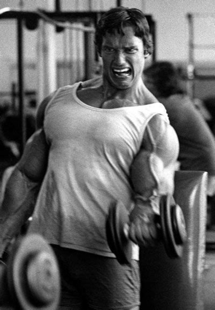 Twins: Last month, Arnold's lookalike son Joseph posted an Instagram snap of himself and his father standing in front of a mural showing Arnie in his bodybuilding days as the Austrian Oak