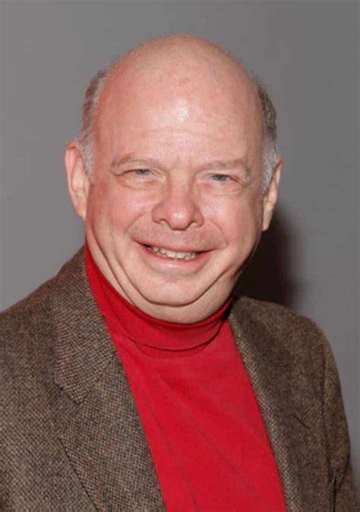Wallace Shawn Biography IMDb