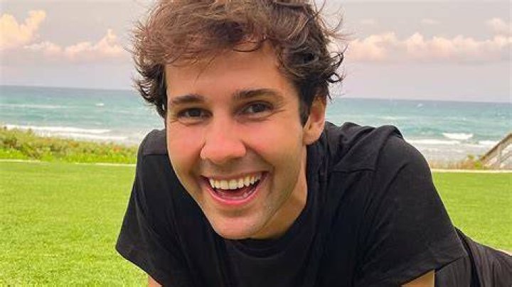 What Happened to David Dobrik? What Does David Dobrik Do Now? How Does David Dobrik Make Money?