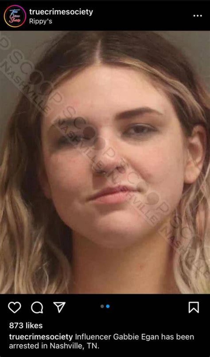 Why Did Gabbie Egan Get Arrested? Reason Behind TikTok Star Gabbie Egan's Arrest