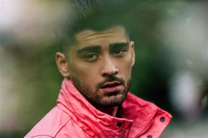 Zayn Malik Reportedly Dropped From Record Label
